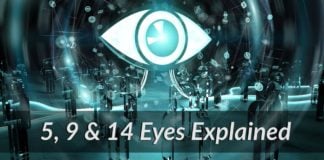 Five, Nine and Fourteen Eyes Explained