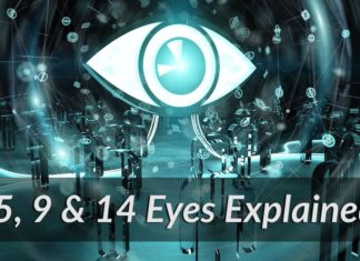 Five, Nine and Fourteen Eyes Explained