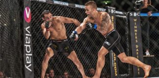 UFC fight