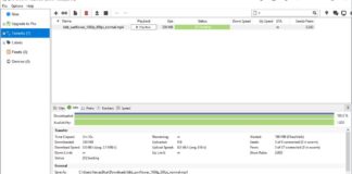 iTorrent screenshot