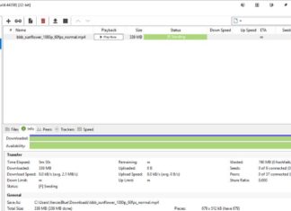 iTorrent screenshot