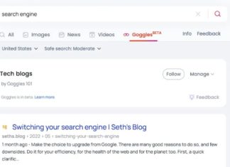Brave Search Goggles