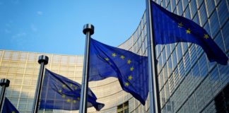 EU flags