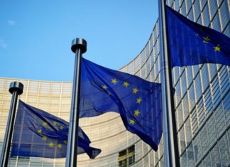 EU flags