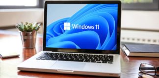 Windows 11