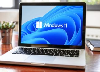 Windows 11