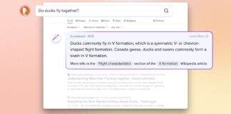 DuckDuckGo AI answers