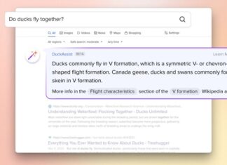 DuckDuckGo AI answers