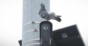 Florida and Texas move to pull Flock cameras, but the company's track record suggests the fight isn't over Florida and Texas move to pull Flock cameras, but the company's track record suggests the fight isn't over